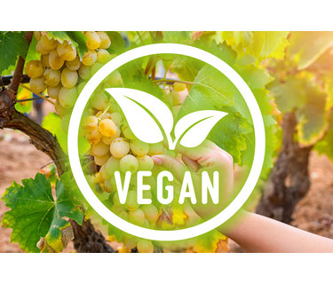Vegan witte wijn