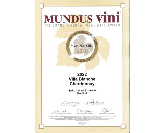 Calmel & Joseph Villa Blanche Chardonnay 2022 - top 5 beste Chardonnay!