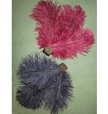 Ostrich Feather Hair Clip Flora