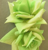 Rose hair clip fair green 2 x