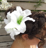 Haarblüte Aloha Lilie weiß 2 x