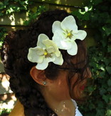 Ivory Orchid Hair Flowers 2 x