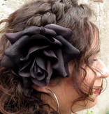 Haarblüte Samtrose schwarz