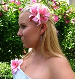 Haarblüte Lilie doppelt rosa 2 x