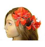 Haarblüte Lilie doppelt orange 2 x