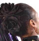 Haarblüte Samtrose schwarz