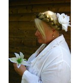 Weiße Amaryllis Haarblüte 2 x