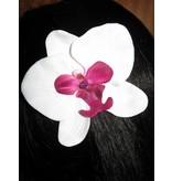 Edle Orchidee Haarblume weiß pink 2 x