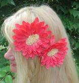 Haarblüte mit Gemme Koralle 2 x