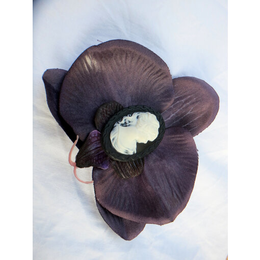 Dark Purple Cameo Orchid