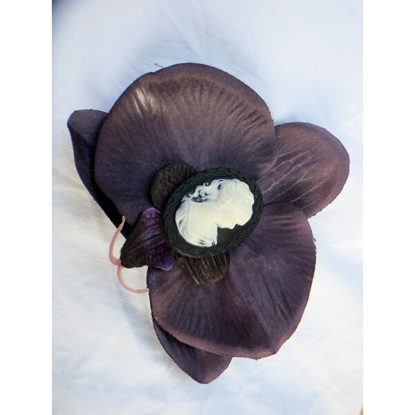 Dark Purple Cameo Orchid