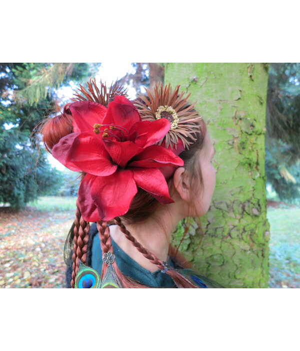 Flamenco Amaryllis Haarblüte 2 x