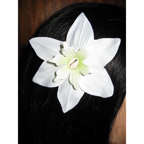 Weiße Stern Haarblumen