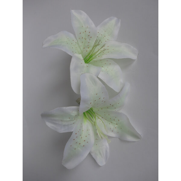 Lilien weiß-elfenbein 2 x