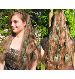 Peacock Extensions, 7, 9 or 11 Feathers