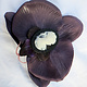 Orchidee dunkellila mit Kamee