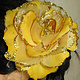 Haarblume Rose Goldsonne 2x