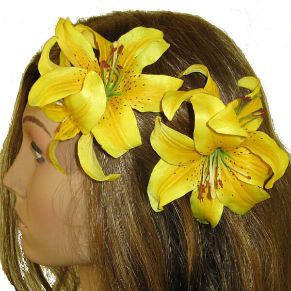 Yellow Double Lily 2 x