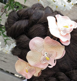 Zarte Orchideen Shabby Chic Stil
