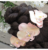 Zarte Orchideen Shabby Chic Stil