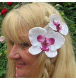 Orchid Hair Flower white pink 2x
