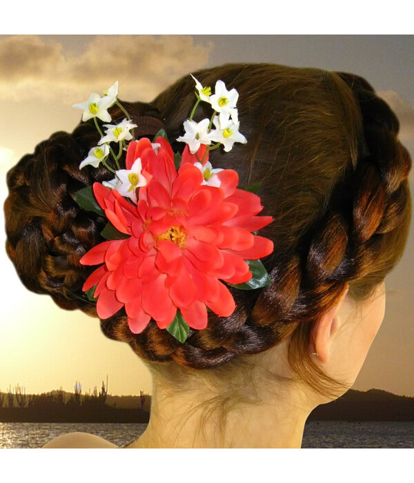 Korallfarbene Fee Haarblüte 2 x