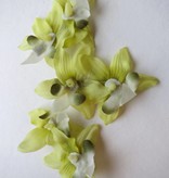Hellgrüne Miniorchideen Haarblüten