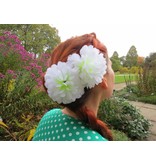 Haarblüte Weiße Chrysantheme 2 x
