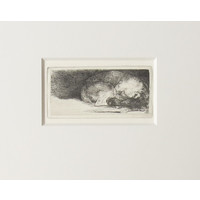 ETCHING Sleeping Puppy