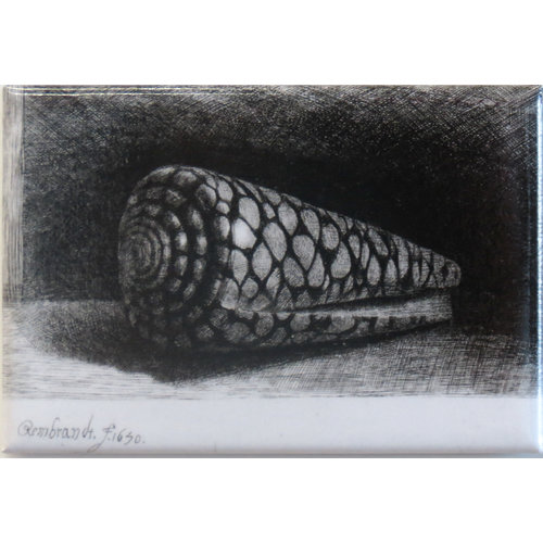Magnet The Shell 