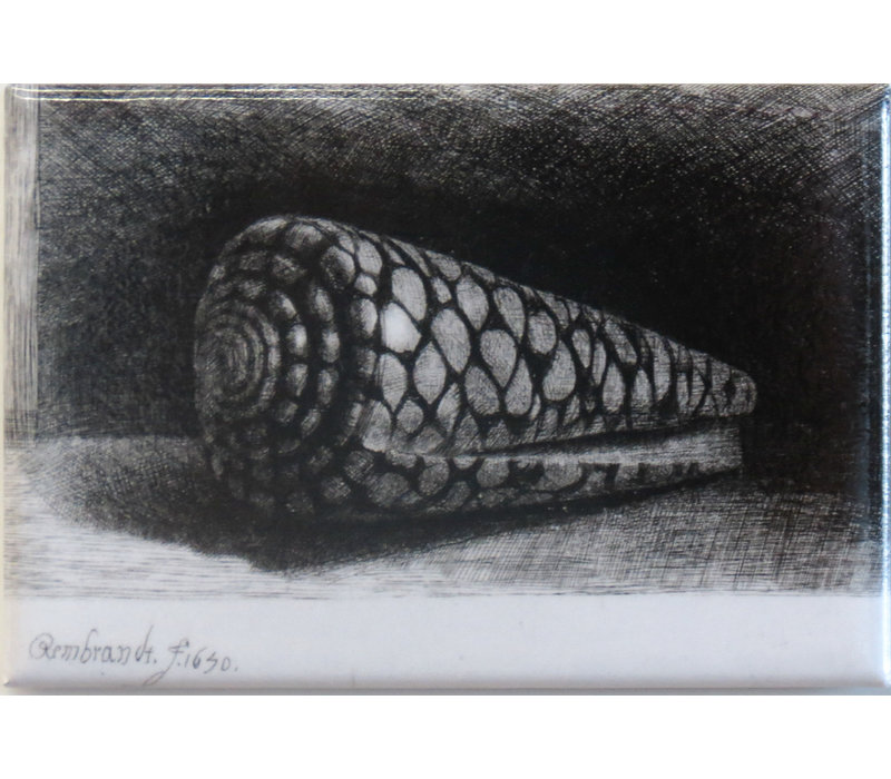 Magnet The Shell
