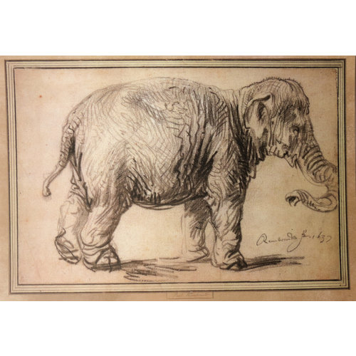 Postcard Elephant 