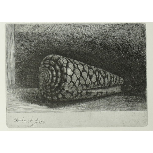 Postcard Shell 