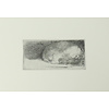 Postcard Sleeping Puppy