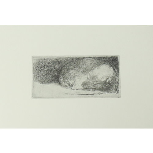 Postcard Sleeping Puppy 