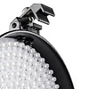 Walimex Pro LED Spotlight XL + Barndoors