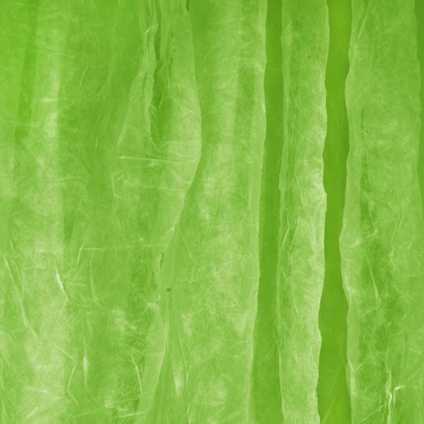Walimex leichter Stoffhintergrund Fotografie 3x6m grün