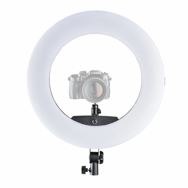 Walimex Pro LED Ringverlichting Medow 960 Pro Bi Color