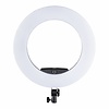 Walimex Pro LED Ringlamp Medow 960 Pro Bi Color