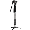 Walimex Pro Video-Einbein Tripod Director Carbon