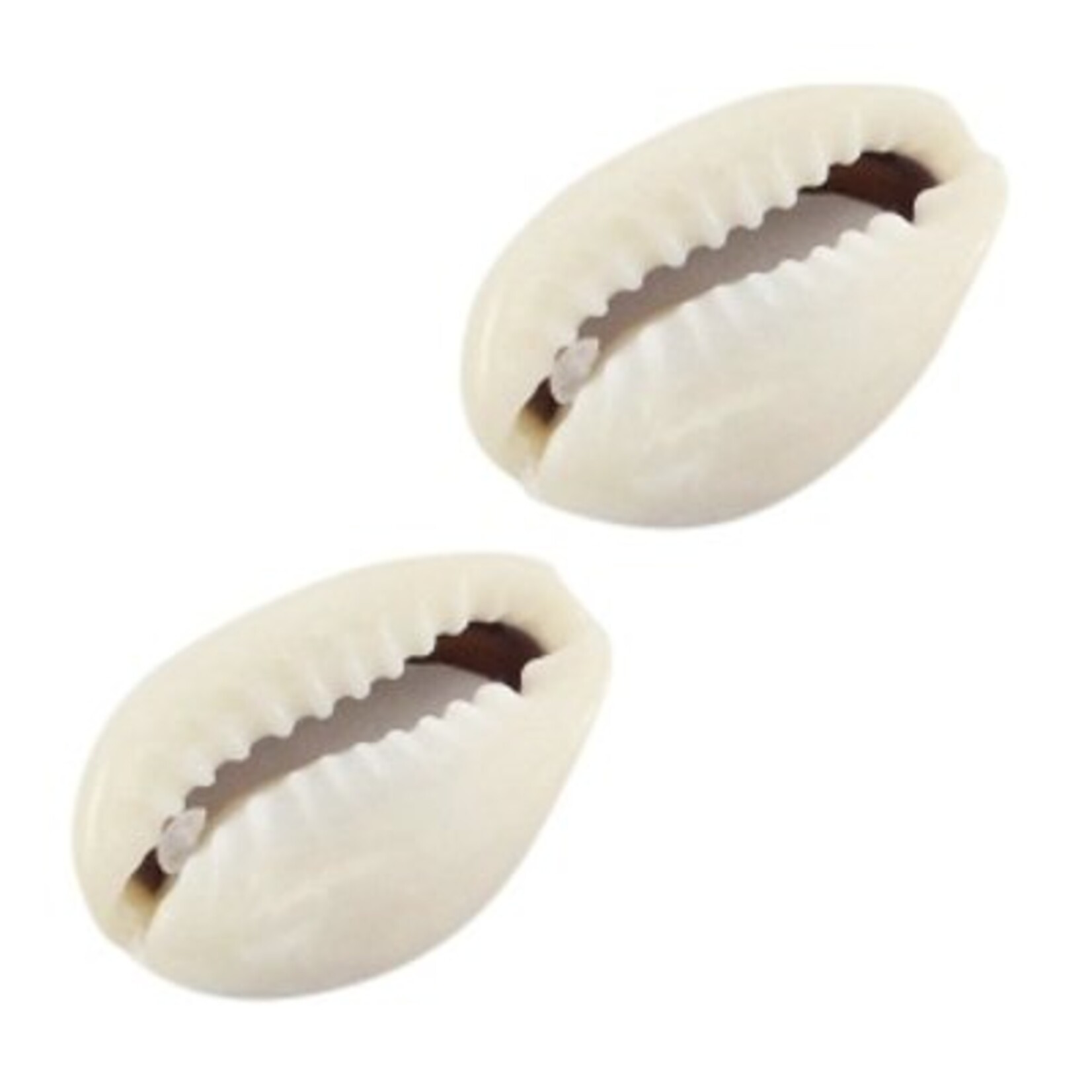 Open Kauri schelpkraal mini wit beige (6x)