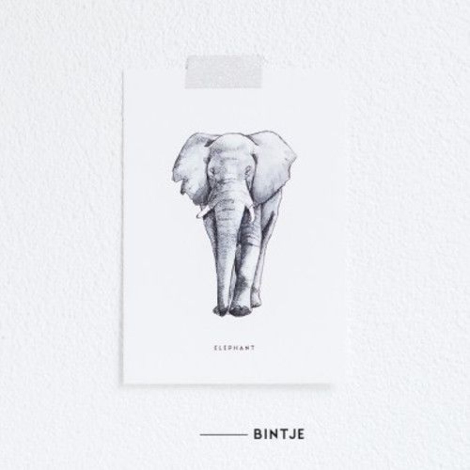 Meesie & Bintje Kaart olifant