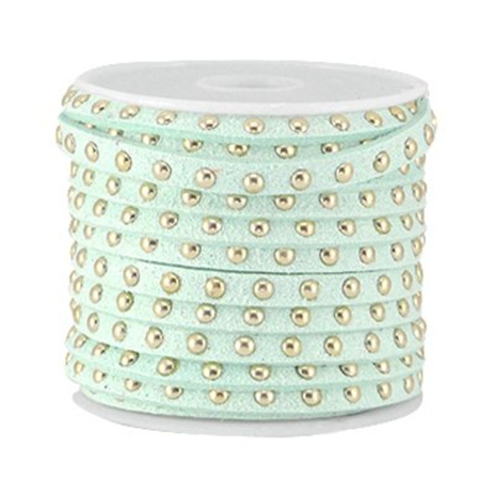 Imitatiesuede mint met gouden studs