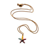 Ketting stainless steel zeester regenboog