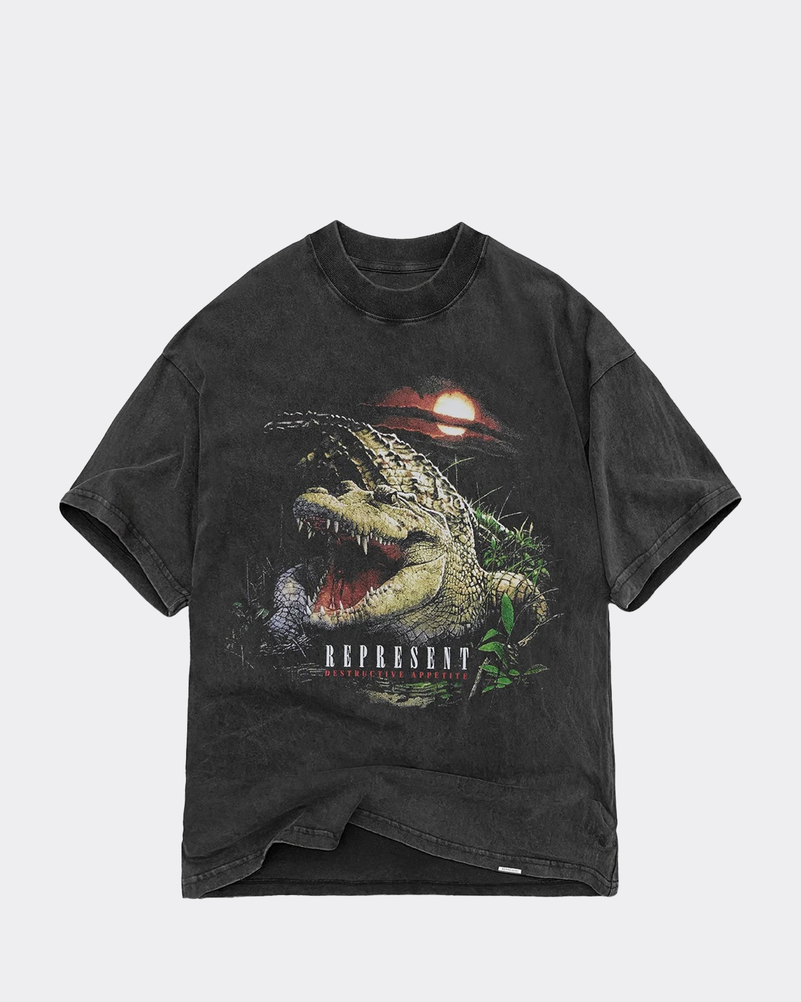 Represent Destructive Appetite T-Shirt Grau - Beachim | T-Shirts