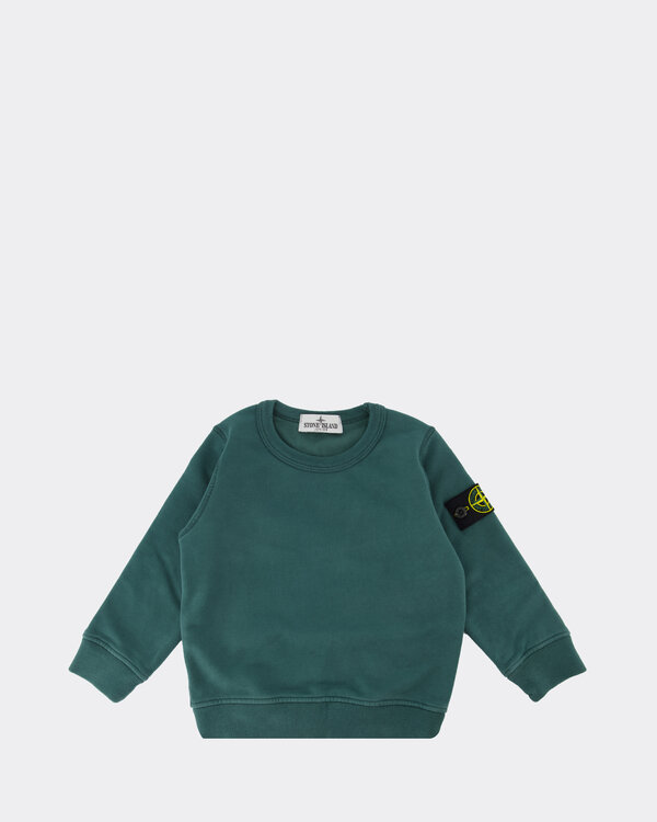 61320 Sweater Grün