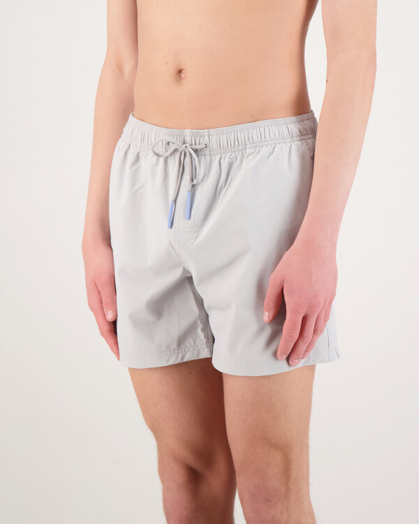 Board Swim Short Silber