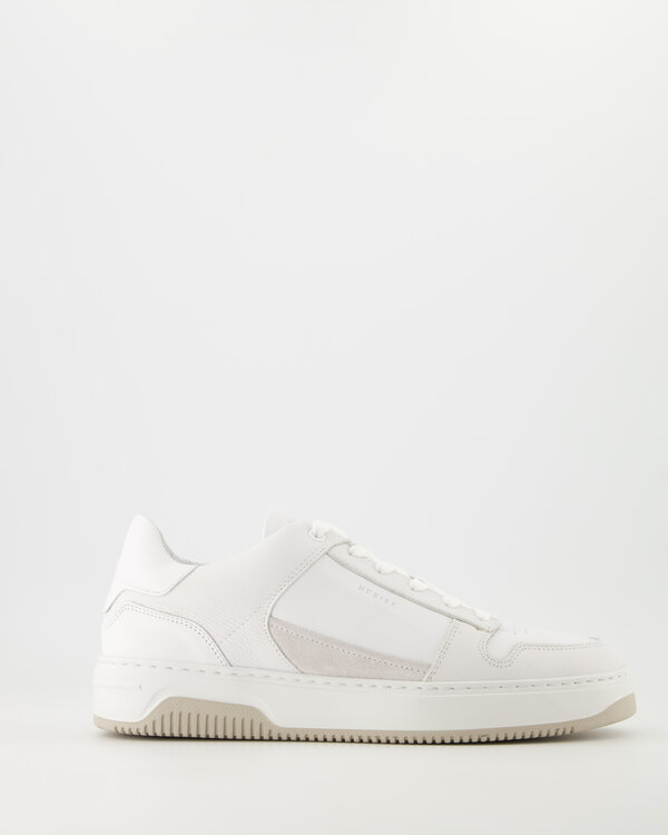 Basket Court Sneakers Diverse