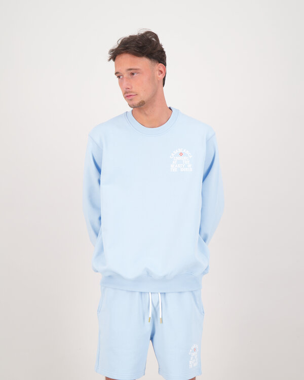 Looking At The Beauty Of The World Sweater Licht Blauw