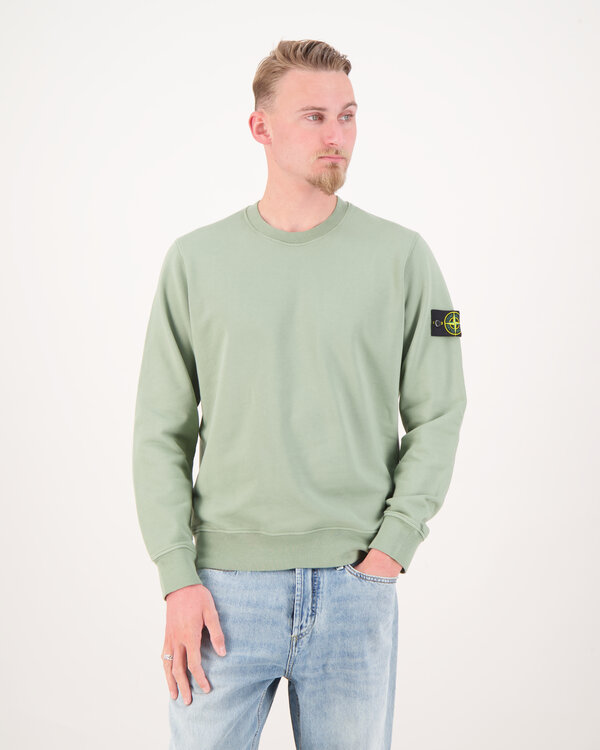 6100044 Basic Sweater Sage
